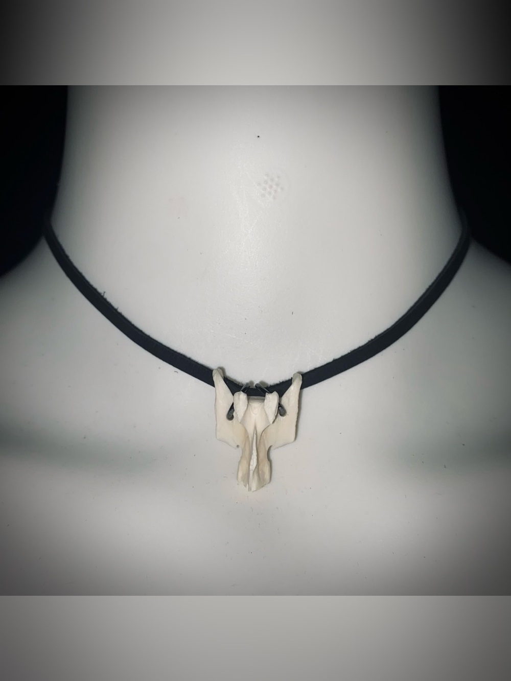 Armadillo Vertebrae Bone choker